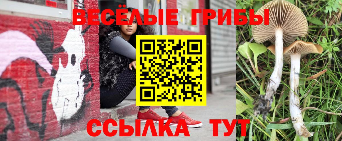 Псилоцибиновые грибы мицелий Буйнакск