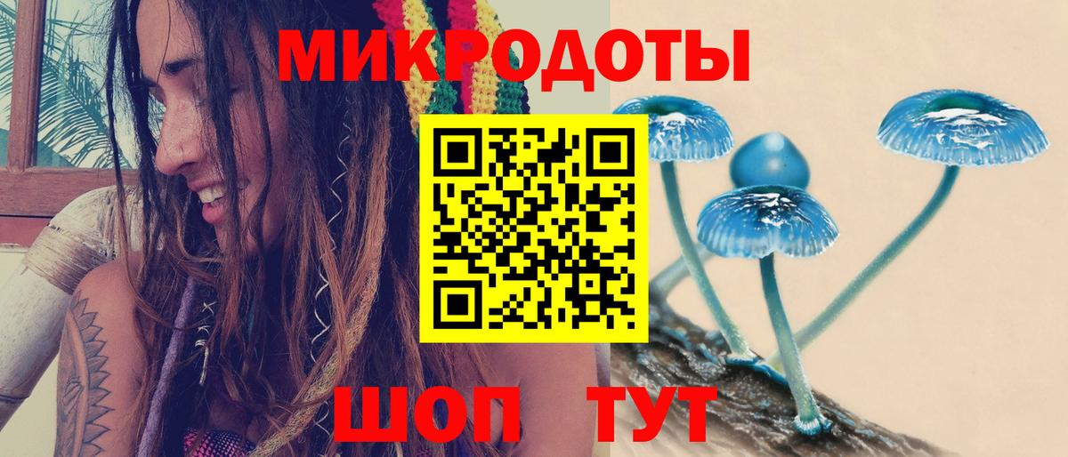 Галлюциногенные грибы MAGIC MUSHROOMS  Вход с VPN  Псилоцибиновые грибы Magic Shrooms  Буйнакск 